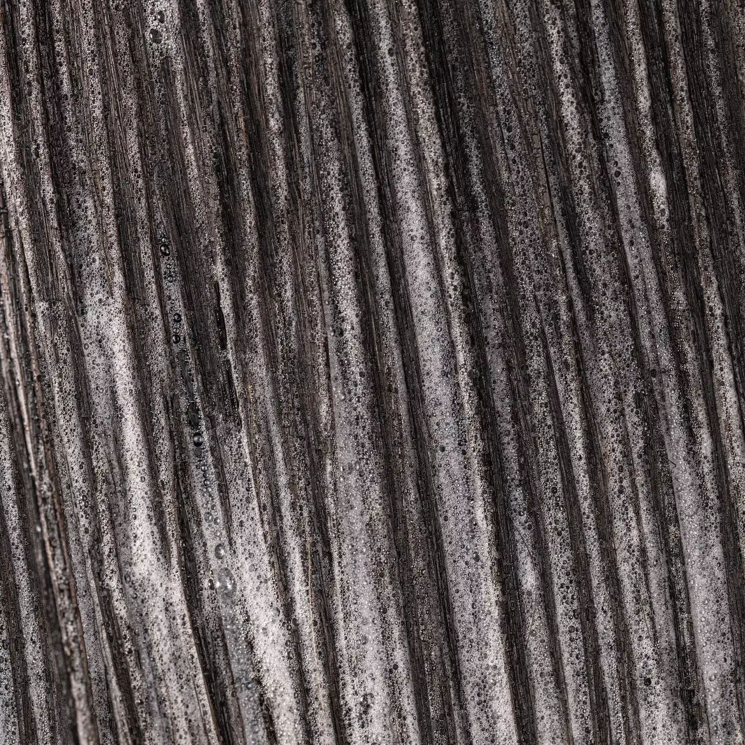 Pureology-2024-Ecom-ATF-Application-Nanoworks-Gold-2000x2000_webp_sw_1536_sh_1536_sm_cut_sfrm_jpg_q_70