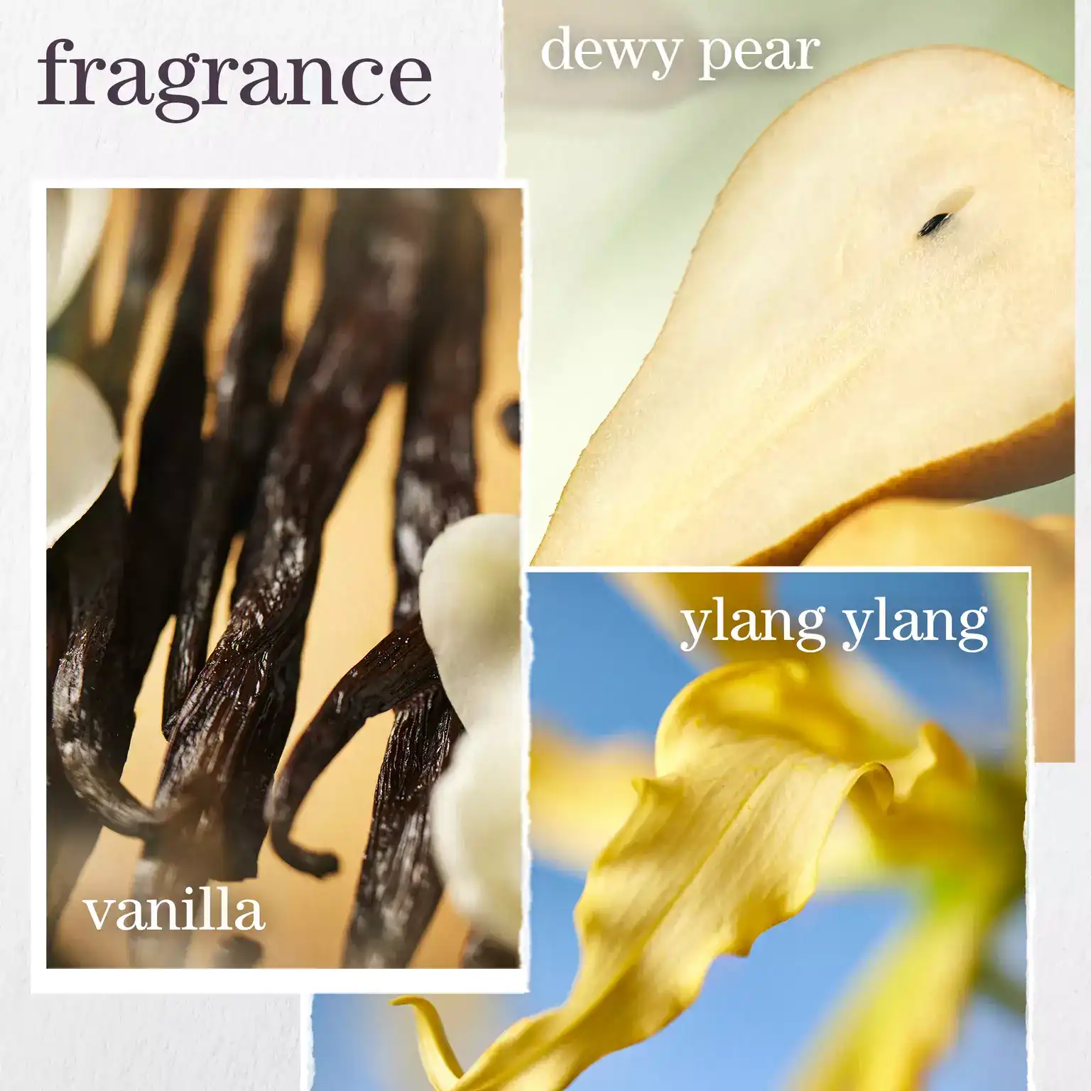 Pureology-2024-Ecom-ATF-Fragrance-Nanoworks-Gold-2000x2000_webp_sw_1536_sh_1536_sm_cut_sfrm_jpg_q_70