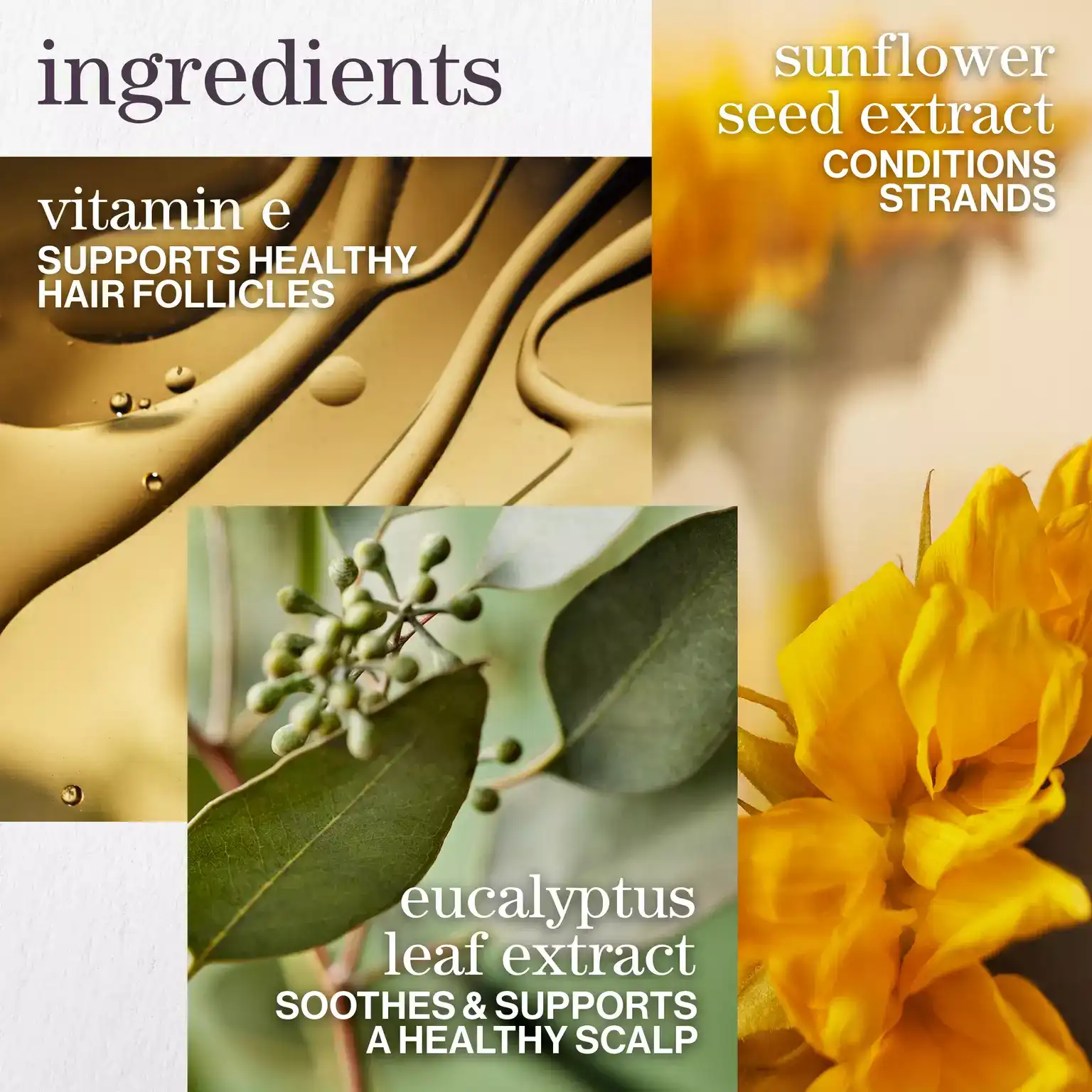 Pureology-2024-Ecom-ATF-Ingredient-Pure-Volume-2000x2000_webp_sw_1536_sh_1536_sm_cut_sfrm_jpg_q_70