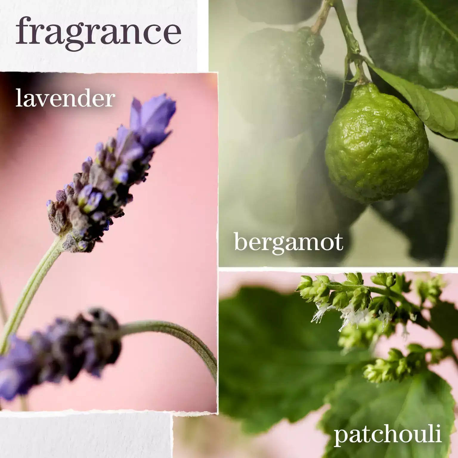 pureology-hydrate-shampoo-fragrance-citrus-mint-aromatic_webp_sw_1536_sh_1536_sm_cut_sfrm_jpg_q_70